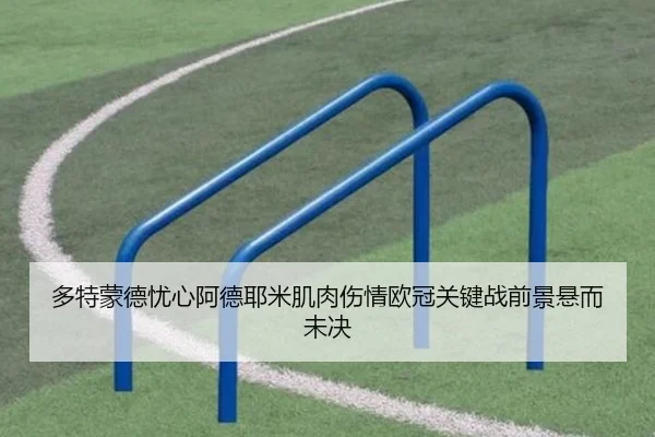 多特蒙德忧心阿德耶米肌肉伤情欧冠关键战前景悬而未决